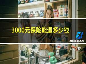 3000元保险能退多少钱