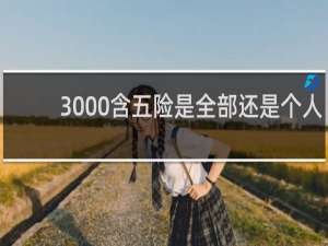 3000含五险是全部还是个人