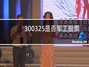 300325是否军工股票