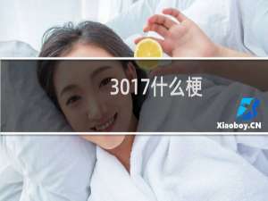 3017什么梗