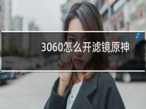 3060怎么开滤镜原神