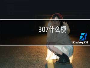 307什么梗