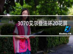 3070艾尔登法环 花屏