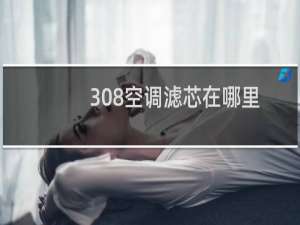 308空调滤芯在哪里