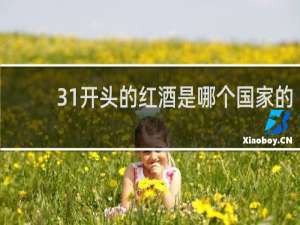 31开头的红酒是哪个国家的