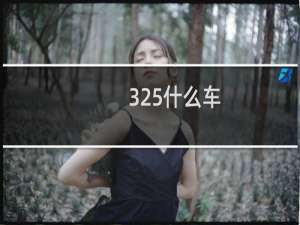 325什么车