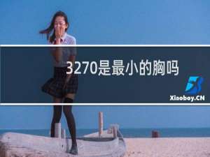 3270是最小的胸吗