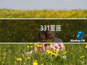 331星座