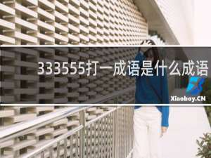 333555打一成语是什么成语