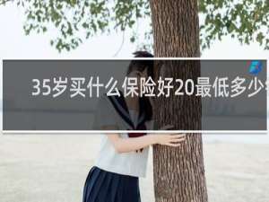 35岁买什么保险好 最低多少钱