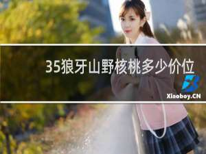 35狼牙山野核桃多少价位