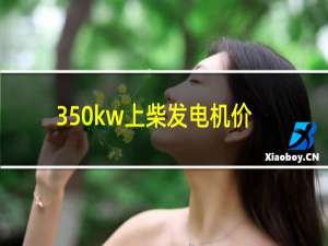 350kw上柴发电机价格