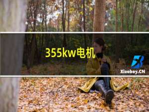 355kw电机