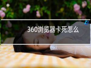 360浏览器卡死怎么解决