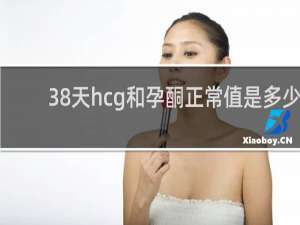 38天hcg和孕酮正常值是多少