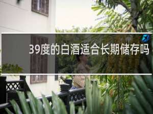 39度的白酒适合长期储存吗