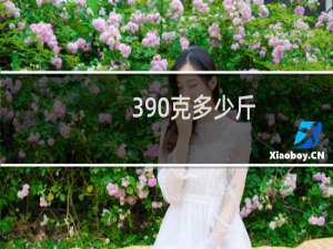 390克多少斤