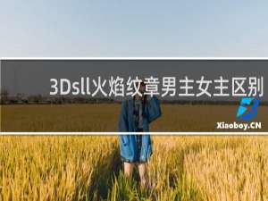 3Dsll火焰纹章男主女主区别