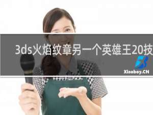 3ds火焰纹章另一个英雄王 技能