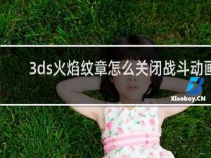 3ds火焰纹章怎么关闭战斗动画