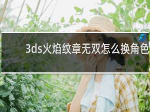 3ds火焰纹章无双怎么换角色
