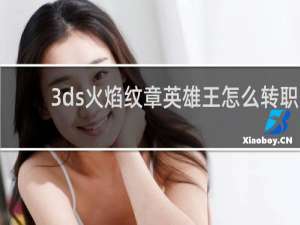 3ds火焰纹章英雄王怎么转职