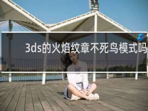 3ds的火焰纹章不死鸟模式吗