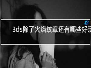 3ds除了火焰纹章还有哪些好玩