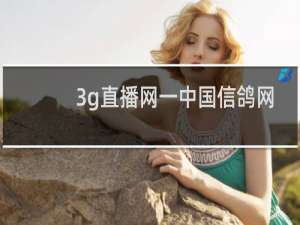 3g直播网一中国信鸽网