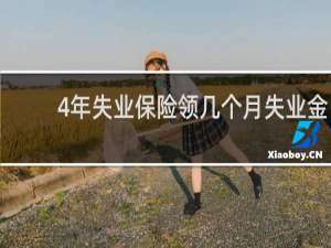 4年失业保险领几个月失业金