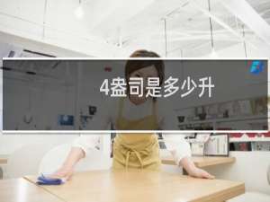 4盎司是多少升