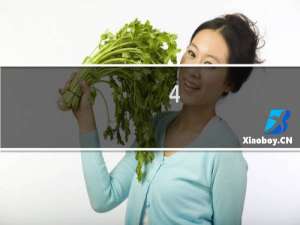 4.2米货车交强险多少钱一年2021年