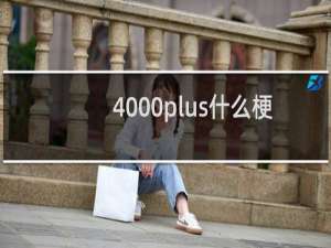 4000plus什么梗