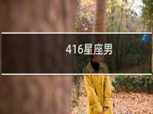 416星座男