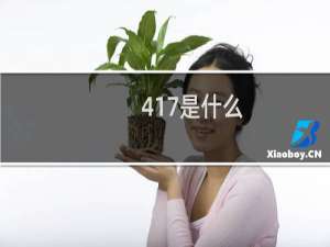 417是什么