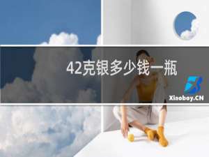 42克银多少钱一瓶