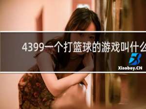 4399一个打篮球的游戏叫什么