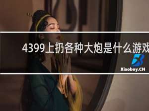 4399上扔各种大炮是什么游戏