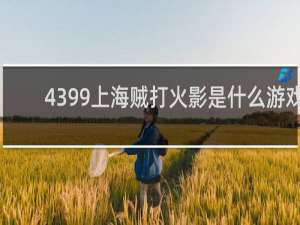 4399上海贼打火影是什么游戏