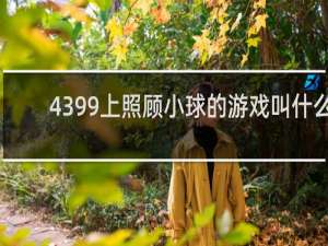 4399上照顾小球的游戏叫什么