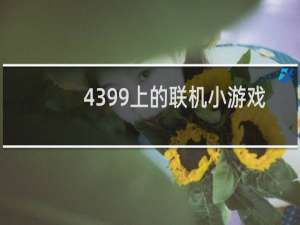 4399上的联机小游戏