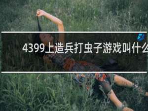 4399上造兵打虫子游戏叫什么