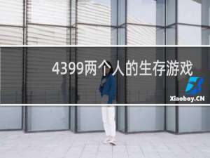 4399两个人的生存游戏