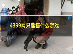 4399两只熊猫什么游戏