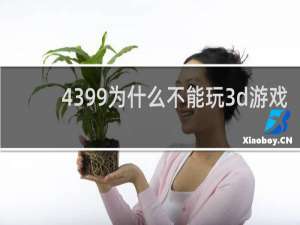 4399为什么不能玩3d游戏