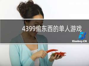 4399偷东西的单人游戏