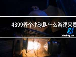 4399养个小球叫什么游戏来着