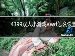 4399双人小游戏awd怎么设置