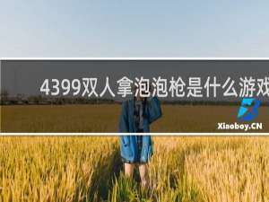 4399双人拿泡泡枪是什么游戏