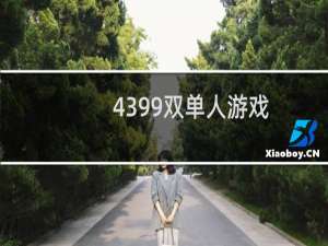 4399双单人游戏